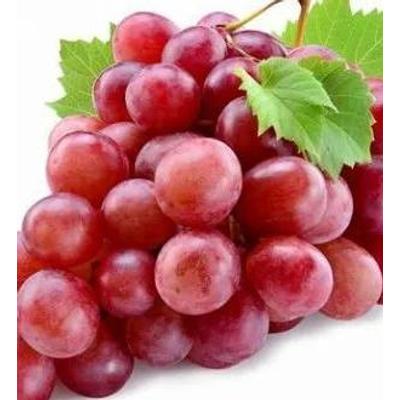 Uvas chilena FYV 1000g